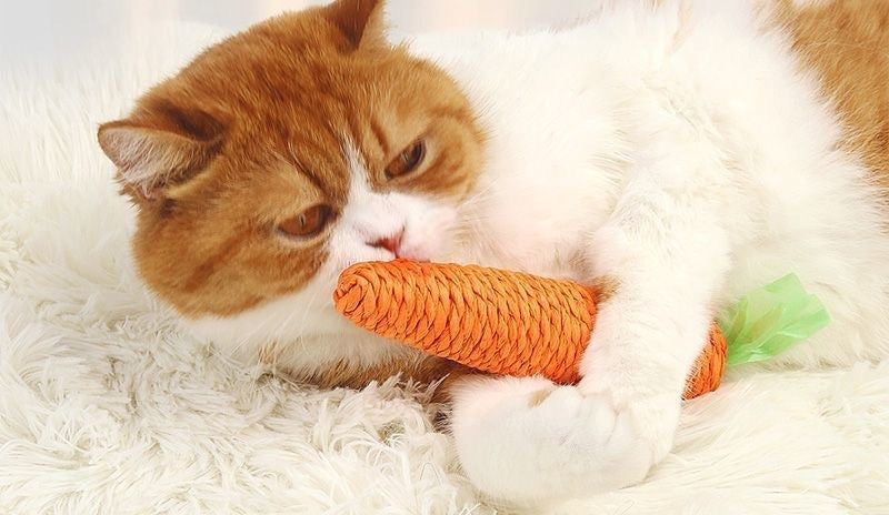 5-Piece Cat Toy Gift Set - Natural Silvervine & Catnip Chew Toys for Indoor Cats