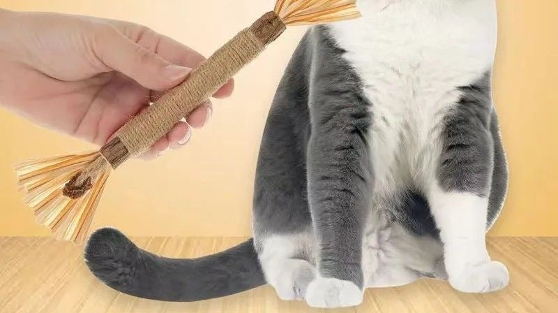 5-Piece Cat Toy Gift Set - Natural Silvervine & Catnip Chew Toys for Indoor Cats